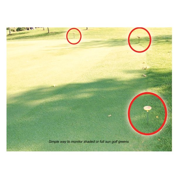 Lysmler, LightScout DLI 100 Light Meter - Turf