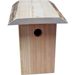 Strekasse i Douglas fyr