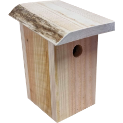 Strekasse i Douglas fyr