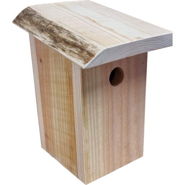 Strekasse i Douglas fyr