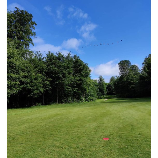 Markeringsplade, 350 mm, med spyd