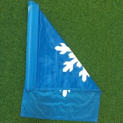 Vinterflag med iskrystal