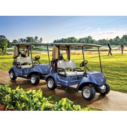 Golfbil, Yamaha Drive 2 (Benzin)
