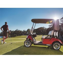 Golfbil, Yamaha Drive 2 (Benzin)