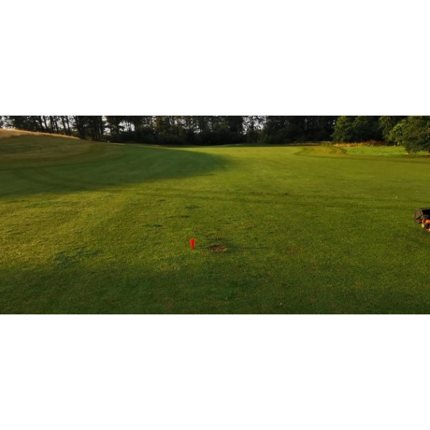 Fairwaymarkering, Flex-broom (move-over)