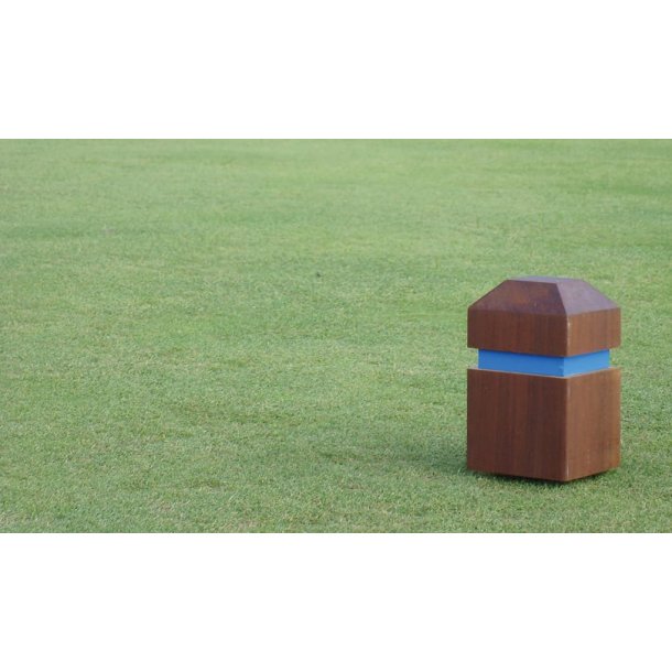 Bevel Top Tee Marker, Rinowood&#153;