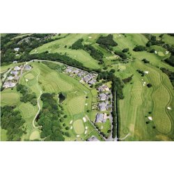 Turfgrass Management, bog