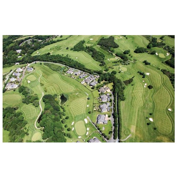 Turfgrass Management, bog