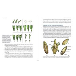 Turfgrass Management, bog