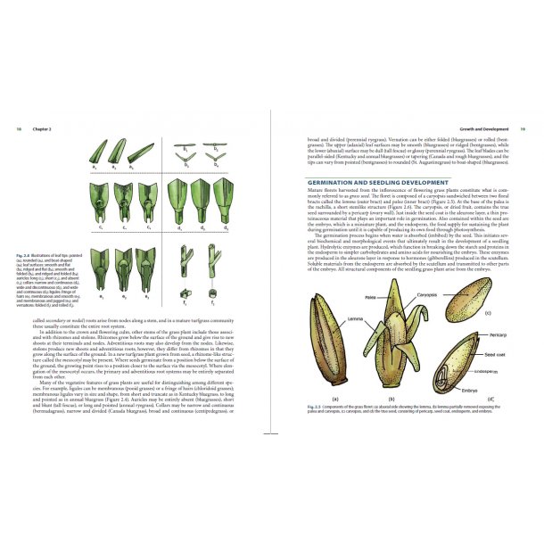 Turfgrass Management, bog