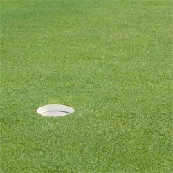 Hulkantsringe (kasse med 18 stk)