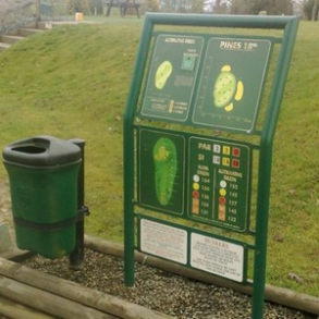 Twin Post <i>(kategori)</i>