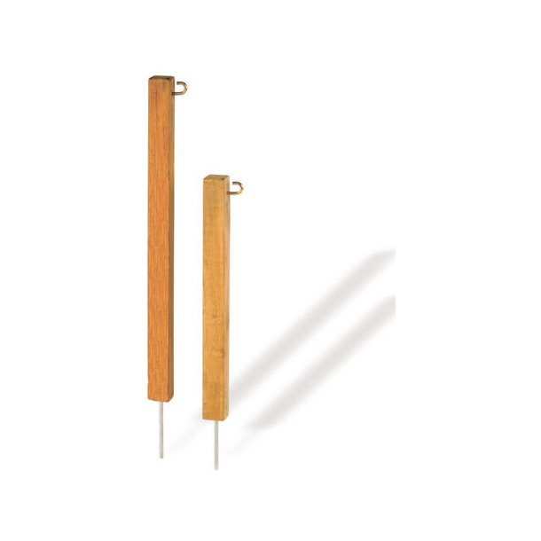 Afgrnsningsple i teaktr