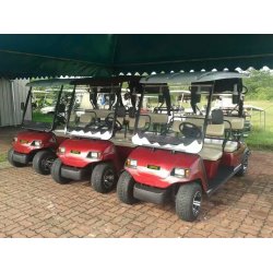 Golfbil, Zodiac Golf og service biler