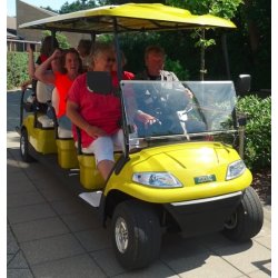 Golfbil, Zodiac Golf og service biler