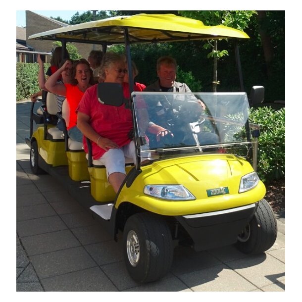 Golfbil, Zodiac Golf og service biler