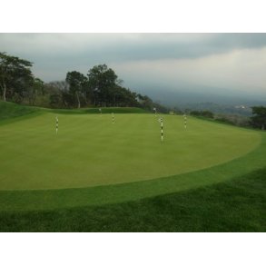 Putting Green